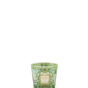 My First BAOBAB Geurkaars Tomorrowland